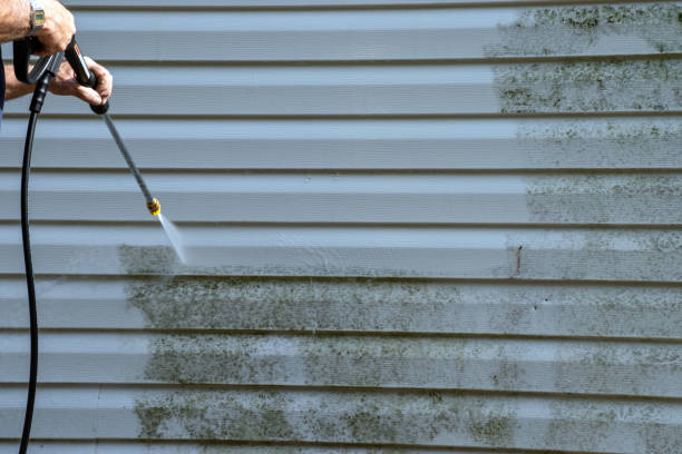 Best Weatherproofing and Sealing  in Beach Haven West, NJ