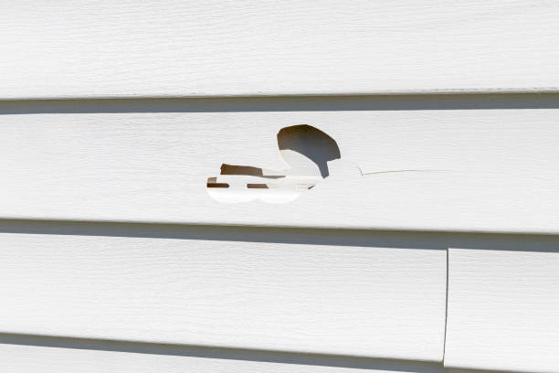 Best Composite Siding  in Beach Haven West, NJ