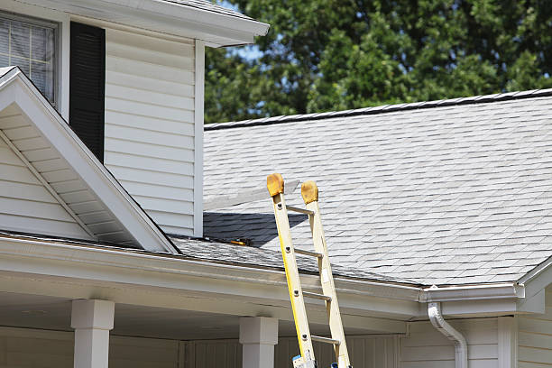 Best Custom Siding Design  in Beach Haven West, NJ