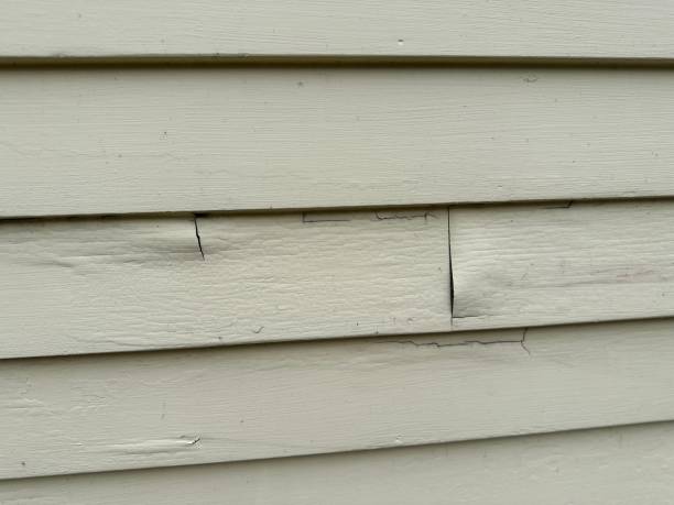 Best Steel Siding Installation  in Beach Haven West, NJ